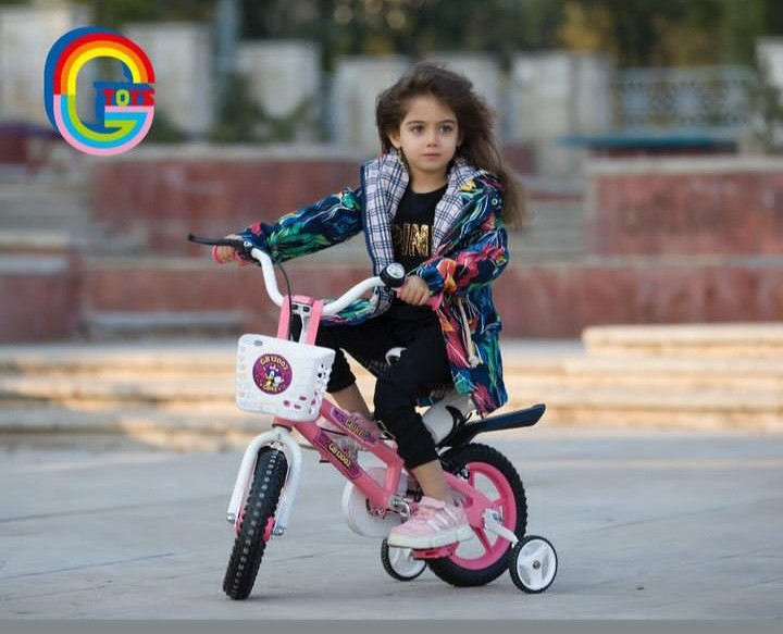 دوچرخه ۱۲ سونیک بهمراه تکیه گاه